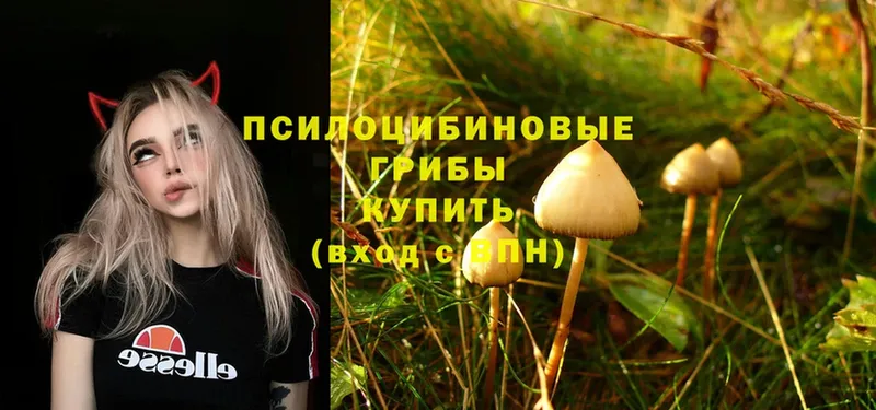 Псилоцибиновые грибы Psilocybe  Бобров 